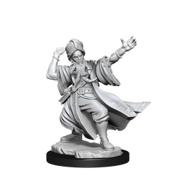 DND FRAMEWORKS: HUMAN WIZARD MALE