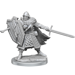 DND FRAMEWORKS: HUMAN FIGHTER MALE