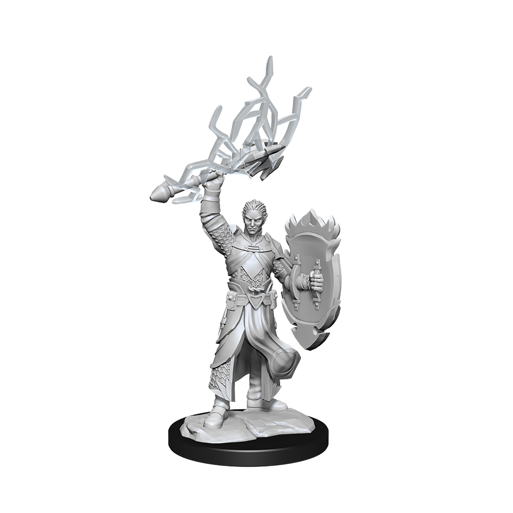 DND UNPAINTED MINIS WV14 HALF-ELF PALADIN MALE