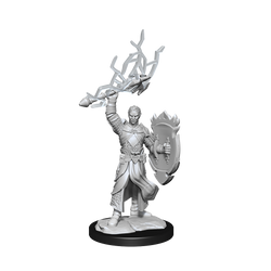 DND UNPAINTED MINIS WV14 HALF-ELF PALADIN MALE