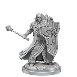 DND FRAMEWORKS: HUMAN CLERIC MALE