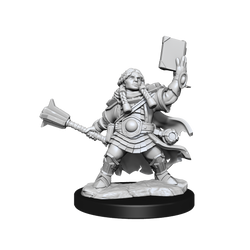 DND FRAMEWORKS: DWARF CLERIC FEMALE