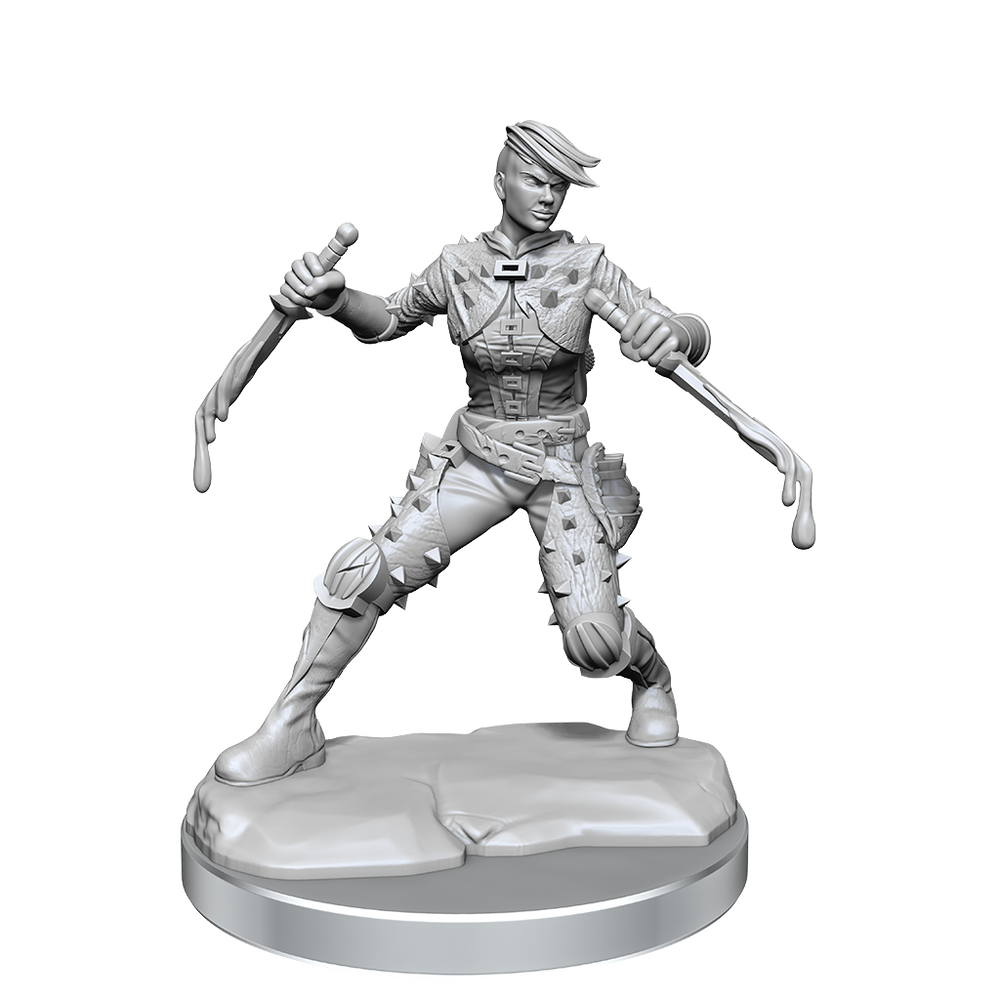 DND FRAMEWORKS: HUMAN ROGUE FEMALE