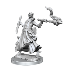 DND FRAMEWORKS: DRAGONBORN SORCERER FEMALE