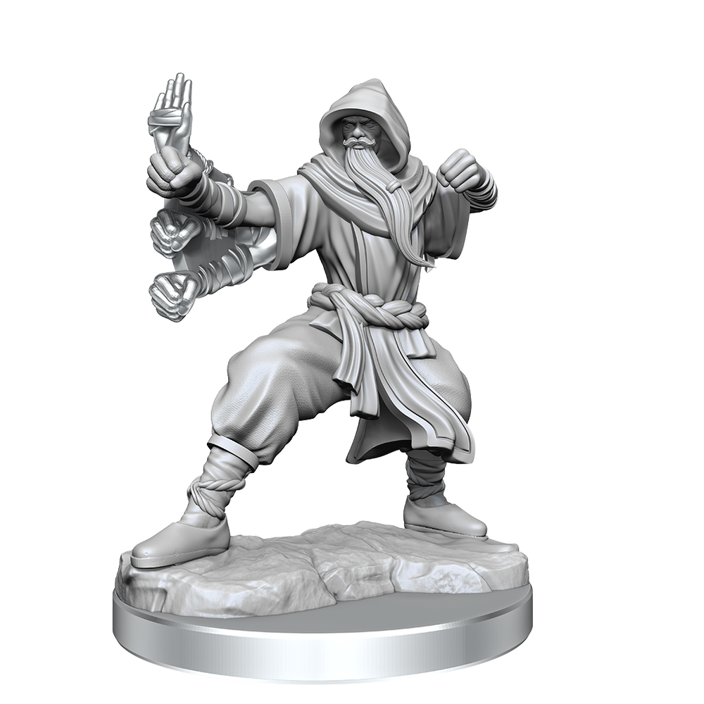 DND FRAMEWORKS: HUMAN MONK MALE