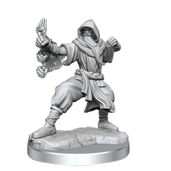 DND FRAMEWORKS: HUMAN MONK MALE