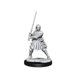 DND FRAMEWORKS: HUMAN FIGHTER FEMALE