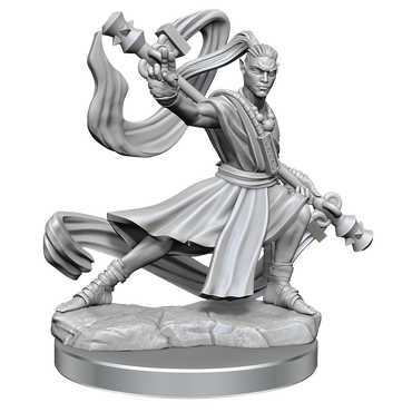 DND FRAMEWORKS: ELF MONK MALE