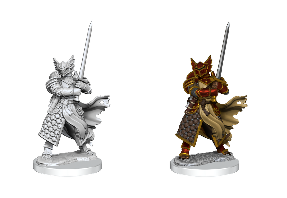 DND FRAMEWORKS: DRAGONBORN PALADIN MALE