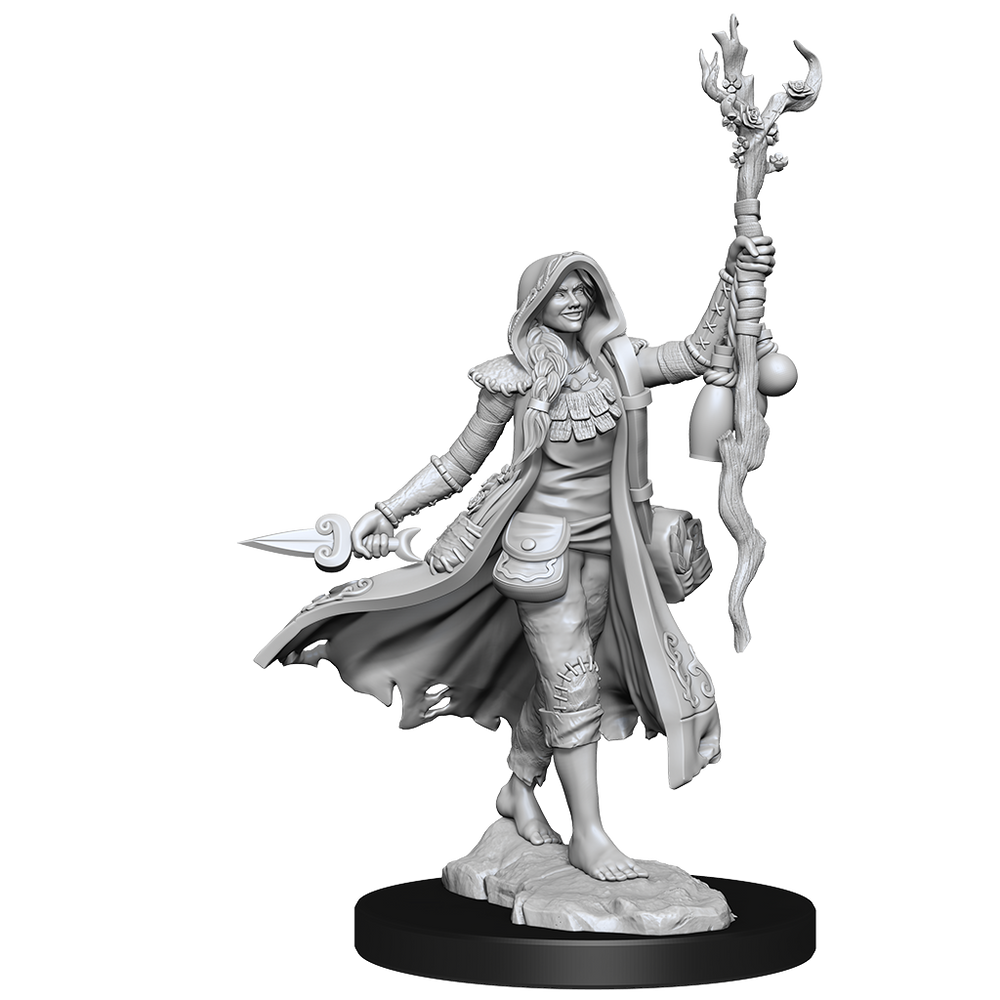 DND FRAMEWORKS: HUMAN DRUID FEMALE