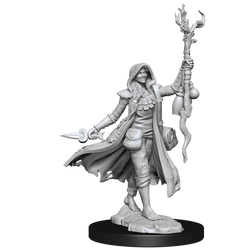 DND FRAMEWORKS: HUMAN DRUID FEMALE