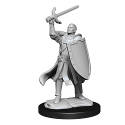 DND UNPAINTED MINIS WV14 HALF-ELF PALADIN MALE