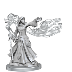 DND FRAMEWORKS: ELF WIZARD FEMALE