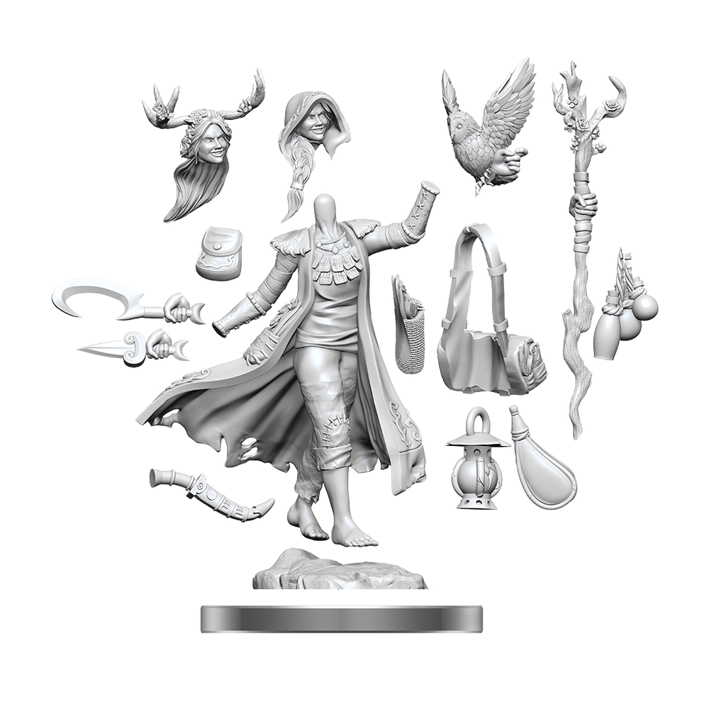 DND FRAMEWORKS: HUMAN DRUID FEMALE