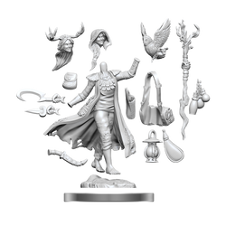 DND FRAMEWORKS: HUMAN DRUID FEMALE